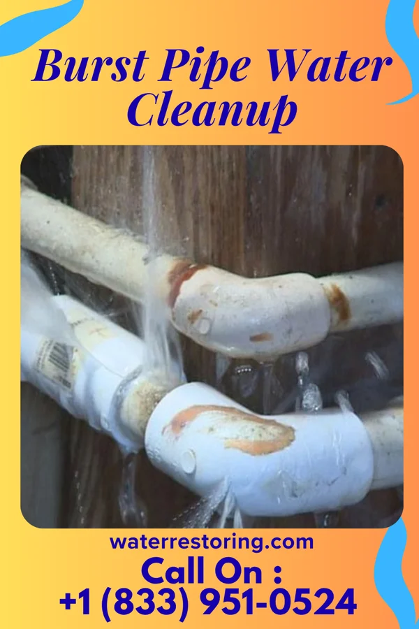 Burst Pipe Water Cleanup in Washington, OK